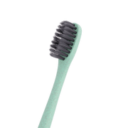 Archie Toothbrushes - TheFunctionalJoint