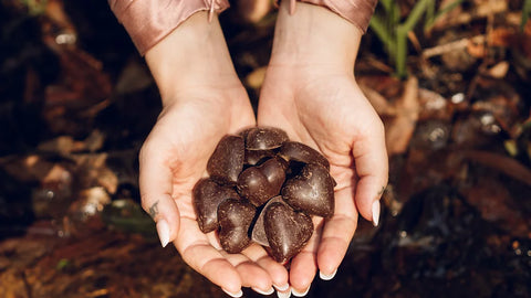 Australian Ceremonial Cacao - TheFunctionalJoint